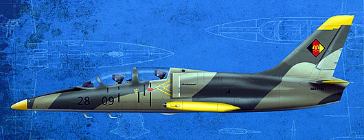 L-39 Fighter Jet
