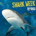 Shark Week on Discovery Channel Begins July 31, 2011