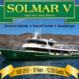 Great White
Shark Diving with Incredible Adventures on the Solmar V
