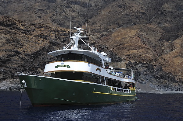 Dive Isla Guadalupe aboard the Solmar V