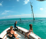 Diving, fishing, boating in the Dry Tortugas