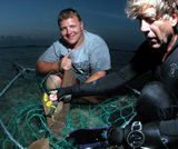 Shark tagging for shark research