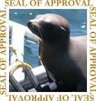 A Farallons Seal drops by for a visit
