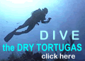 DIVE the Dry Tortugas