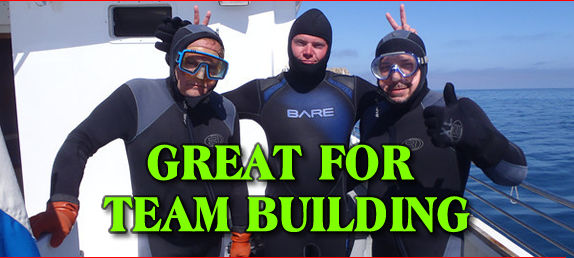 Exciting Team Building Programs - Hostage Rescue, Shark Diving, Air Combat & More Fun!