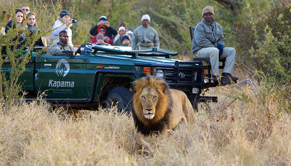 Game Drive in Kapama Private Game Reserve, South Africa