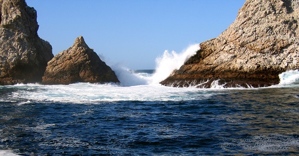 Dive the Farallones with Incredible Adventures