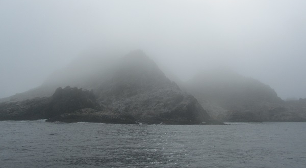Shark Diving in the Farallones