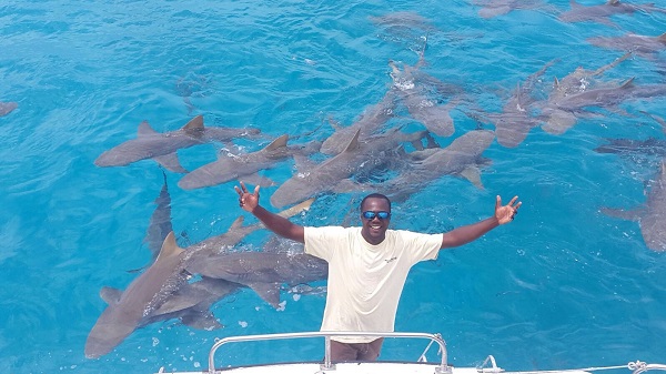 See big sharks in the Bahamas
