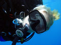 Jillian Morris leads IA's Bahamas Shark Dives