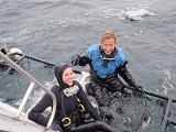 Dive with Great White Sharks in San Francisco with Incredible Adventures