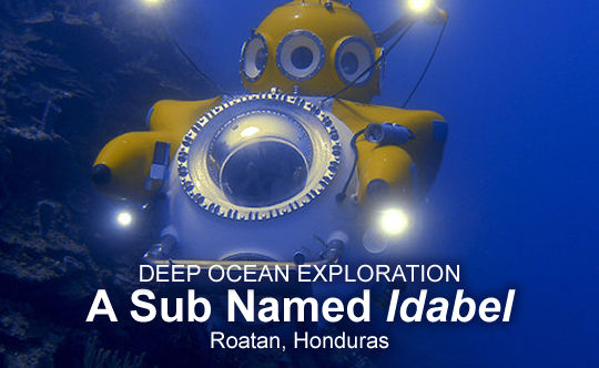 Explore the Ocean Deep in a Sub Named Idabel - Roatan, Honduras