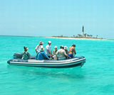 Incredible Shark Hunt Key West, Dry Tortugas, Marquesas