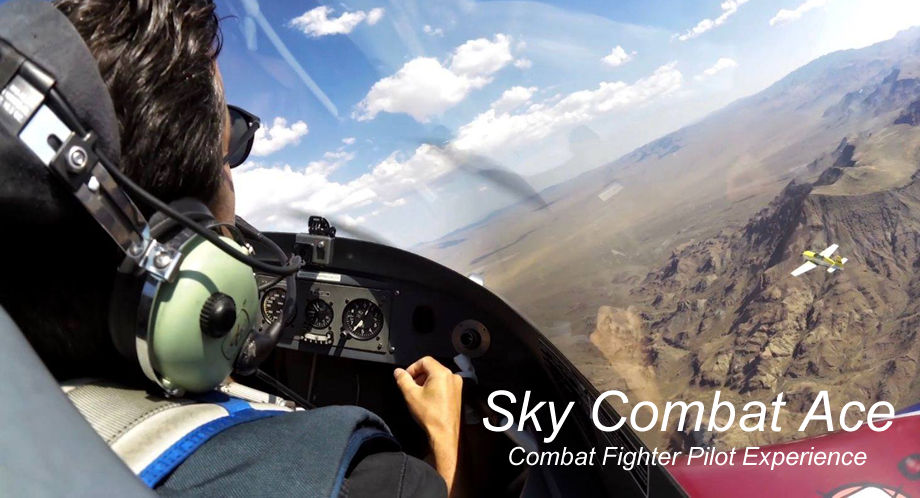 Sky Combat Ace Pilots