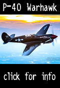 Fly the P-40 Warhawk in Florida