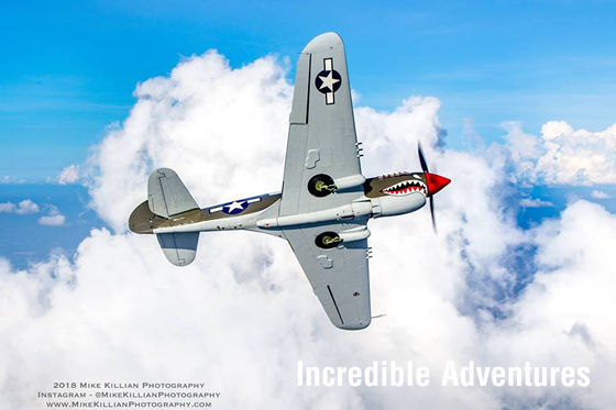 Fly the P-40 Warhawk